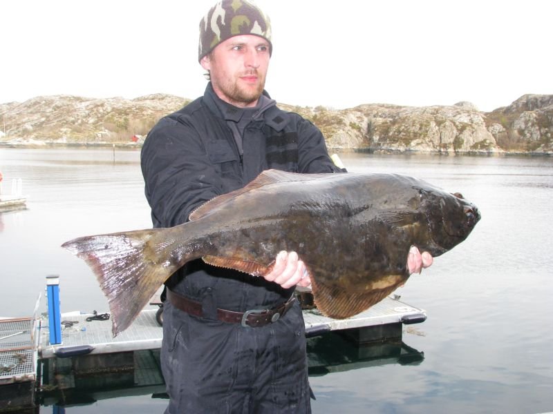 Rok 2010